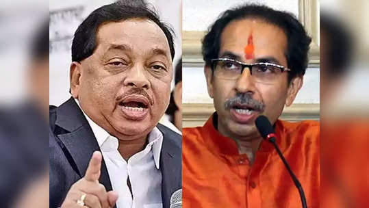 rane vs thackeray:'मुख्यमंत्री ठाकरेंनी मला फोन केला आणि म्हणाले...; चौकशीनंतर नारायण राणेंचा खळबळजनक दावा