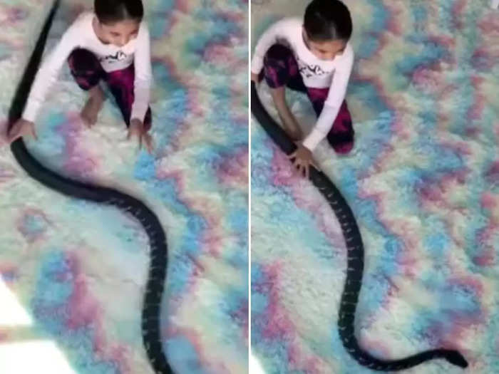 little girl playing with a huge python video