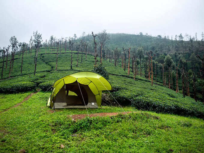 -wayanad-kerala-in-hindi