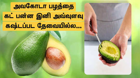 In tamil avocado