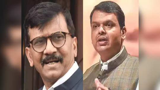 raut vs fadnavis:'फडणवीसांच्या ऐकण्यात, पाहण्यात काहीतरी दोष आहे'; राऊतांचे प्रत्युत्तर