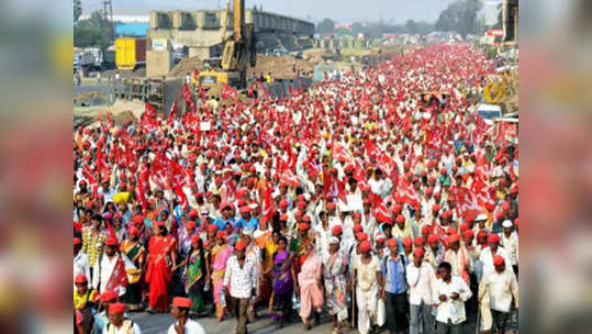 पंजाबच्या निकालावरून किसान मोर्चात फूट, महाराष्ट्रातील पदाधिकारी म्हणाले…