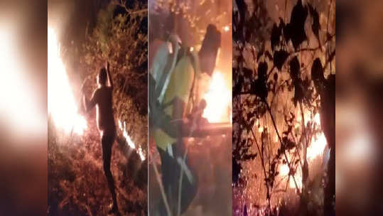 Fire: अलिबागच्या कनकेश्वर डोंगरावर वणवा पेटला; औषधी वनस्पती, झाडं जळून खाक