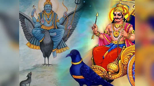 Saturday  Shani Dev Remedy : साडेसातीत देखील शनिदेवाची कृपा राहील, फक्त शनिवारी हे काम करा