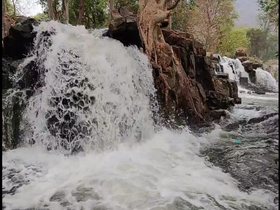 hogenakkal falls: Hogenakkal காவிரி ஆற்றில் திடீர் வெள்ளம்... சுற்றுலா  பயணிகளுக்கு தடை! - dharmapuri collector announced tourister temporarily ban  in hogenakkal due to cauvery river flood | Samayam Tamil
