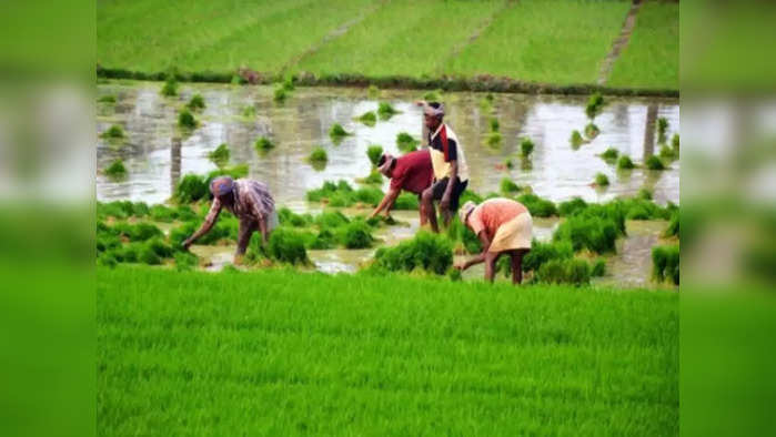 PM Kisan Yojana : पीएम किसान योजनेत ११ वा हप्ता लवकरच वितरित केला जाणार आहे.