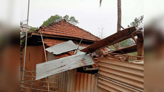 storm in ratnagiri: रत्नागिरीला वादळाचा मोठा तडाखा; घरे, गोठयांसह आंबा, काजू, नारळाच्या झाडांचे नुकसान