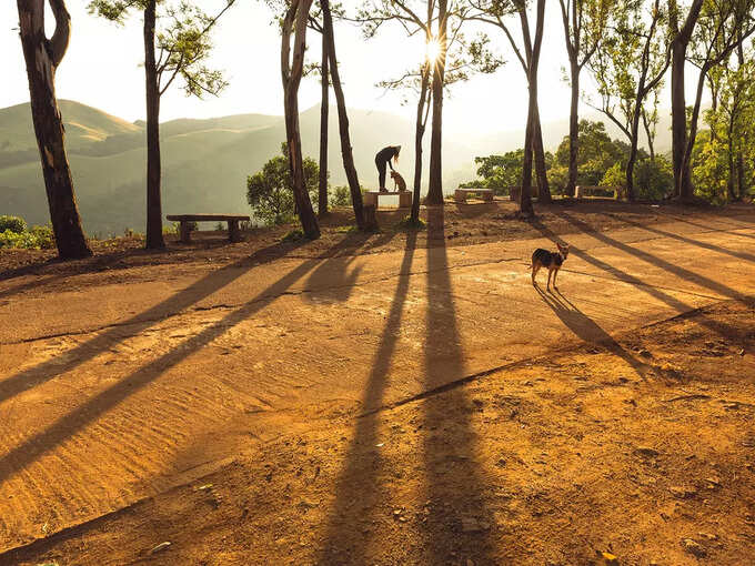 -kemmangundi-karnataka