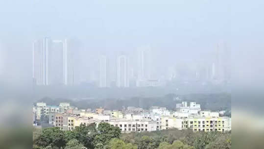 mumbai air quality : मुंबईची हवा 'पालटणार', महापालिकेने उचलले 'हे' महत्वाचे पाऊल