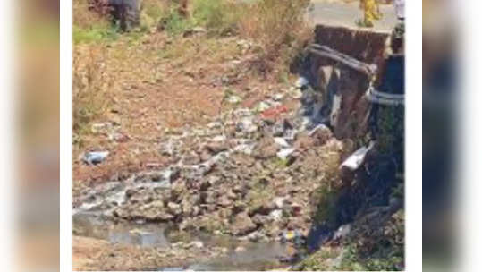 गोदाप्रदूषण निर्मूलनासाठी  कामाचा वेग वाढवा