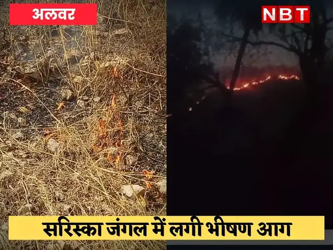 Sariska Tiger Reserve fire