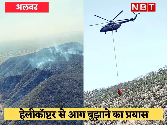 sariska national park