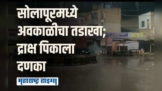 सोलापूरमध्ये वादळी वाऱ्यासह अवकाळी पावसाचा तडाखा; द्राक्षांचे मोठ्या प्रमाणात नुकसान