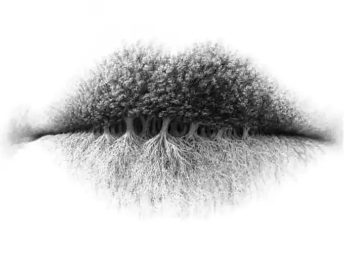 एक विशाल पेड़? पेड़ की जड़ें, या किसी इंसान के होंठ?