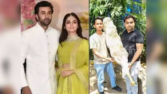 Ranbir- Alia Wedding: एवढा खर्च! आलिया- रणबीरसाठी सुरतहून आला सोन्याच्या फुलांचा बुके! Video Viral