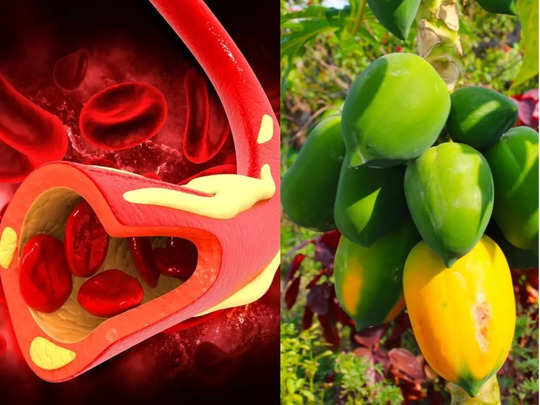 Cholesterol reducing fruits: खून की नसों में चिपके जिद्दी कोलेस्ट्रॉल को बाहर निकाल देंगे गर्मियों के ये 5 सस्ते फल 