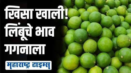 लिंबू महागला! ऐन उन्हाळ्यात लिंबाचे भाव गगनाला भिडले, किलोचा भाव आहे