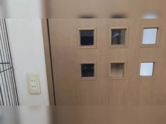 find a cat in this pic news