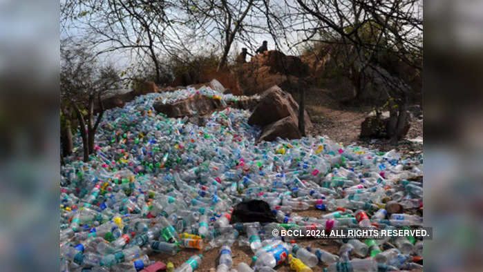 कचऱ्याच्या पुनर्वापरासाठी उपक्रम घेतला हाती, शैलेंद्र शिक्षण संस्थेच्या माजी विद्यार्थ्यांचा पर्यावरणाच्या जागरासाठी पुढाकार 