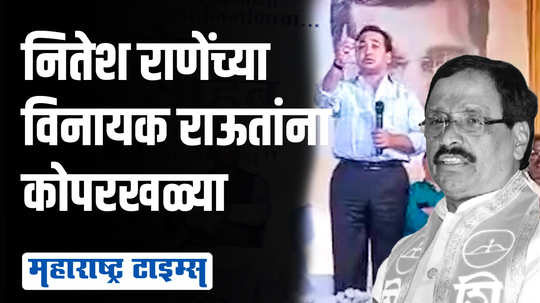 बिनकाम्या लोकांना लोकसभेवर पाठवल्यावर काय होतं ते आपण पाहिलंय | नितेश राणे