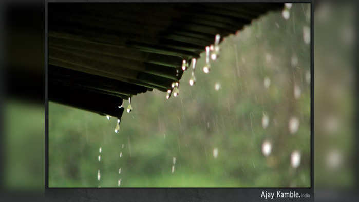 Maharashtra rain