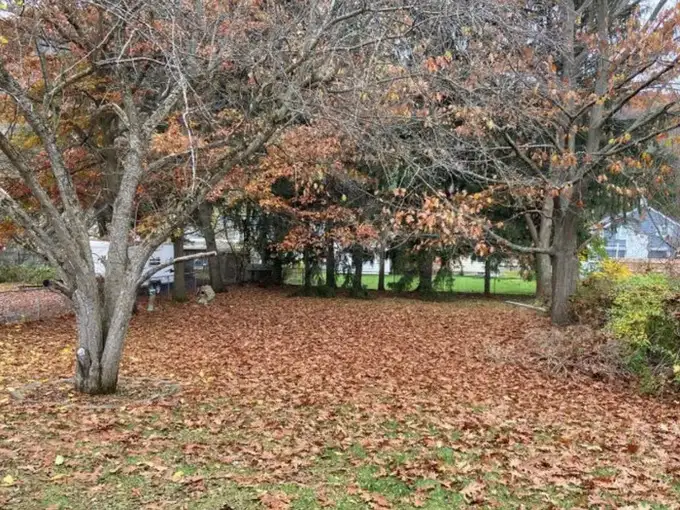 इस तस्वीर में एक डॉगी है...