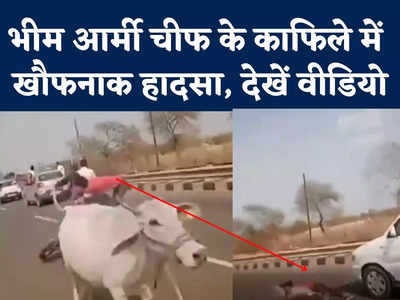 Sagar Rally Video : गाय से टक्कर के बाद कार के नीचे आया बाइक सवार, हादसे का खौफनाक वीडियो देखें 