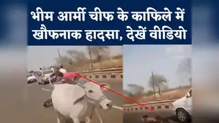 Sagar Rally Video : गाय से टक्कर के बाद कार के नीचे आया बाइक सवार, हादसे का खौफनाक वीडियो देखें