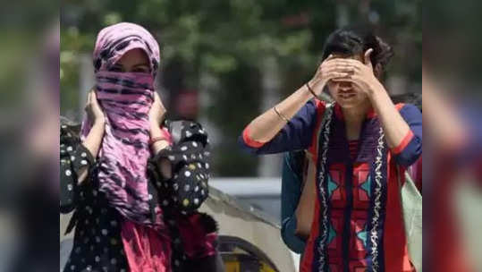 Heat Wave Alert : राज्यासाठी पुढचे ४ दिवस धोक्याचे, 'या' भागात भयंकर उष्णता वाढणार