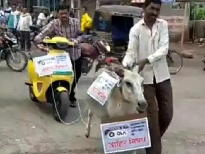 maharashtra man ties ola scooter to donkey video goes viral maharashtra man ties ola scooter to donkey video goes viral