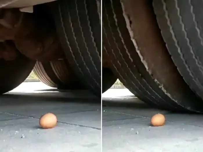 16 wheeler truck passes over egg without breaking it watch shocking video 16 wheeler truck passes over egg without breaking it watch shocking video