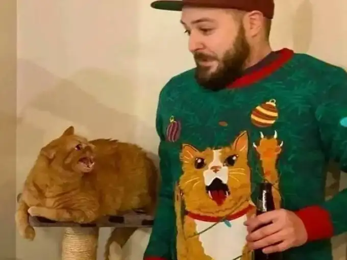 झपट जाएगी...