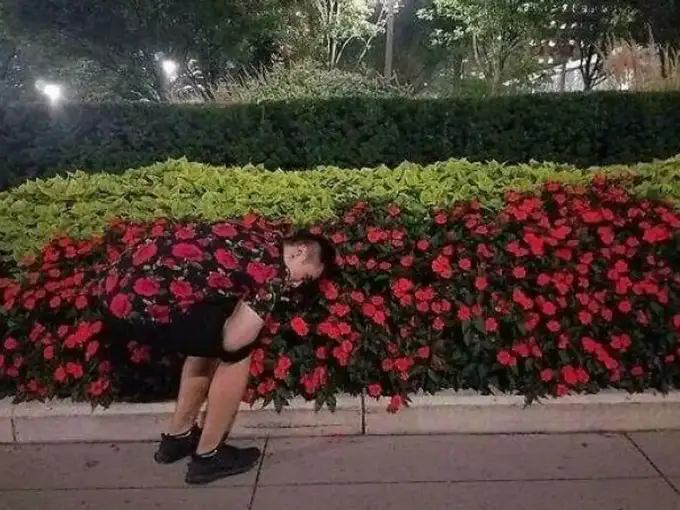 गुम ही हो गया बंदा फूलों में