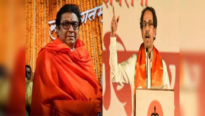 raj and uddhav thackeray