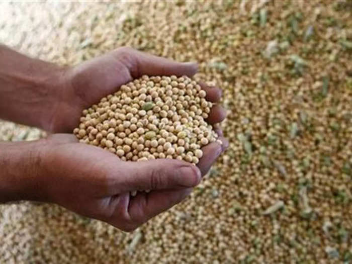 Two industry organizations face to face on the import of soybean cake (File Photo)
