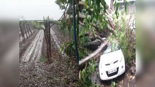 Weather Alert : कोल्हापुरात अवकाळी पावसाचा कहर; धुळीचे वादळ, गारांच्या पावसाने  हाहाकार