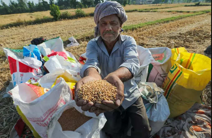 wheat farmers