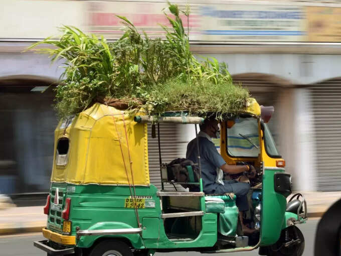 Delhi heat moving garden plants on the roof of the autorickshaw Mahender Kumar 25 types of vegetables and flowers: दिल्ली की चुभती गर्मी से बचने को ऑटोवाले ने ढूंढा गजब का जुगाड़,