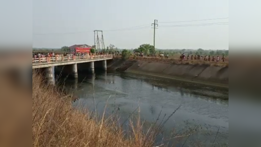 जावयाने सासऱ्याला कालव्यात ढकललं, मृतदेह पाण्यातून बाहेर काढताना लहान भावाचाही मृत्यू