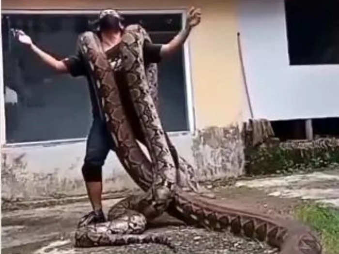 indonesian man dance with two giant snake on his shoulders watch shocking instagram viral reel video