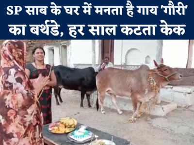 Cow Birthday At IPS Home : इस IPS के घर में गाय का मनता है बर्थडे, गौरी की पूजा के बाद कटता केक, देखें