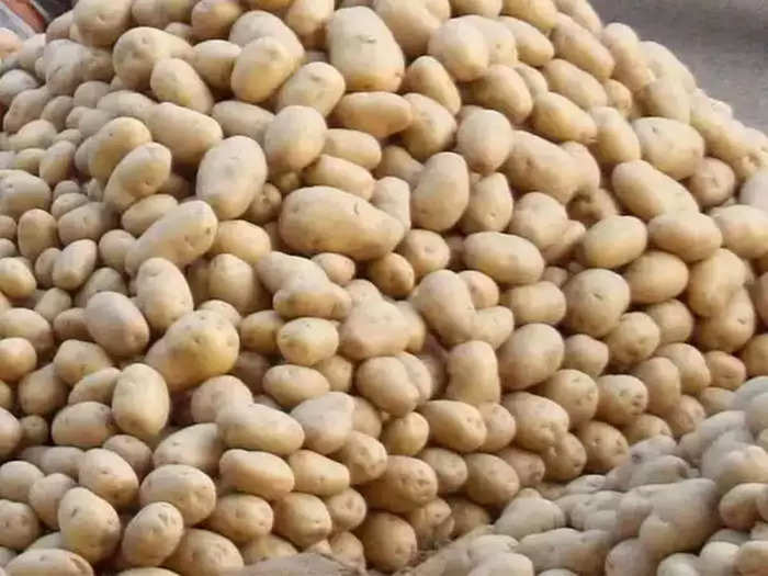 Potato Price Today