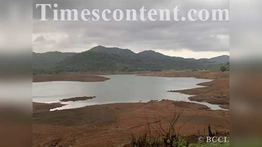 पुणेकरांची चिंता वाढली!, राज्यात सर्वांत कमी पाणीसाठा पुणे विभागात