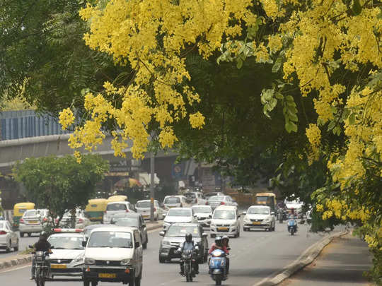 Delhi Pollution: हवाओं ने प्रदूषण स्तर किया कम, राजधानी में पहली बार गर्मियों में लागू किया GRAP 