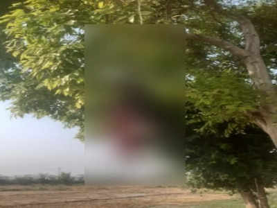 Bulandshahr Crime News: पेड़ पर लटकती मिली युवक और युवती की लाश, जानिए क्या है मामला 
