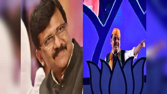 Sanjay Raut: देवेंद्र फडणवीसांच्या मुंबईतील भाषणानंतर संजय राऊतांचं ट्विट, म्हणाले...