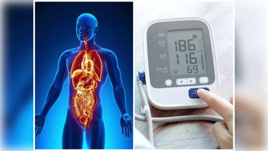 World Hypertension Day : उच्च रक्तदाबाचा शरीराच्या 'या' अवयवांवर होतो गंभीर परिणाम, असा करा वेळीच कंट्रोल