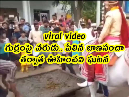 viral video: గుర్రంపై వరుడు.. పేలిన బాణసంచా.. తర్వాత ఊహించని ఘటన 