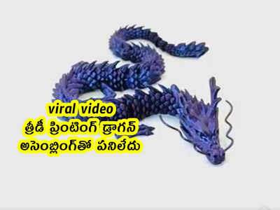 viral video: త్రీడీ ప్రింటింగ్ డ్రాగన్.. అసెంబ్లింగ్‌తో పనిలేదు 