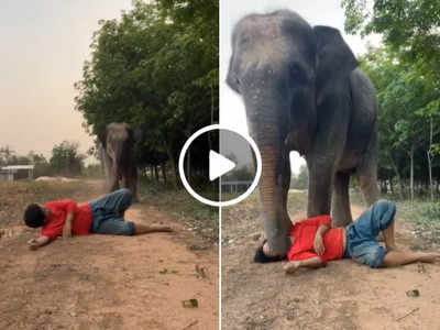 हाथी के रास्ते में लेटकर बना रहा था वीडियो, आगे जो हुआ वह दिल जीत लेगा 